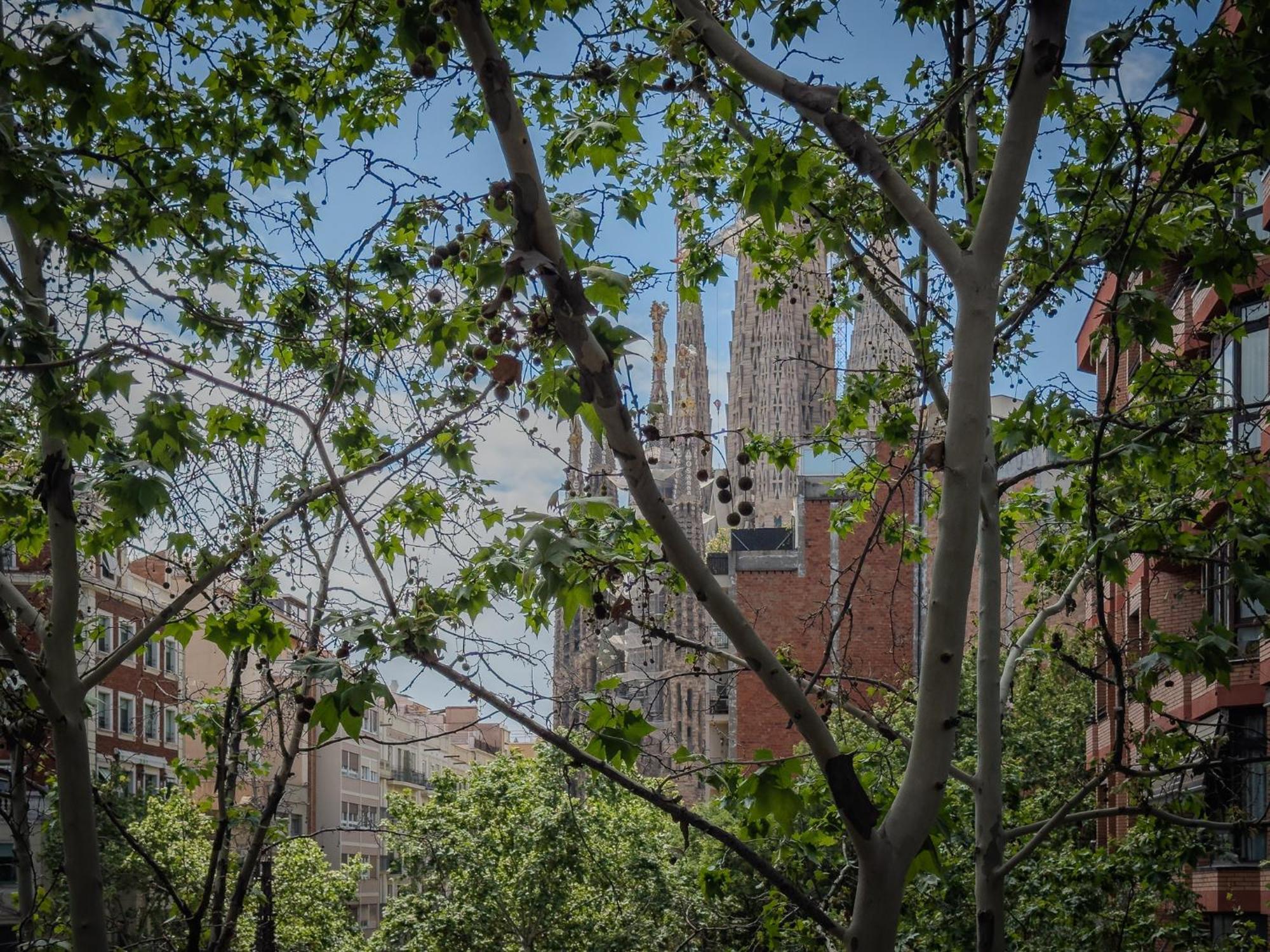Stay U-Nique Apartments Gaudi I Barcelona Bagian luar foto